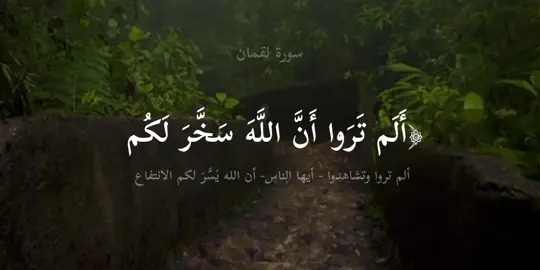 (#سورة_لقمان -  آية ٢٠) #القران_الكريم_راحه_نفسية😍🕋 #القرآن #قران_كريم #ذكر #اكسبلور #اكتب_شيء_تؤجر_عليه #مشاهدات #متابعة #لايكات #i #ksa #fouryou #fourtoupage #fyb #explore #tiktok #quran #quran_alkarim #like #m #h #t #r #e #w #q #l #k #a #v #xh 