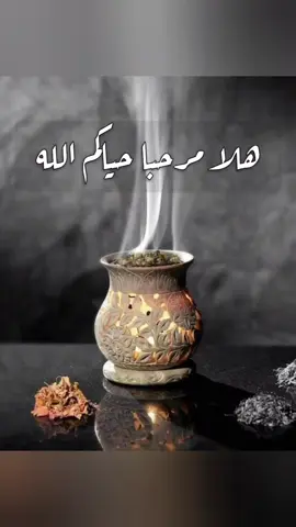 شيلة ترحيب بالضيوف حماسيه بدون موسيقى #بدون_اسم