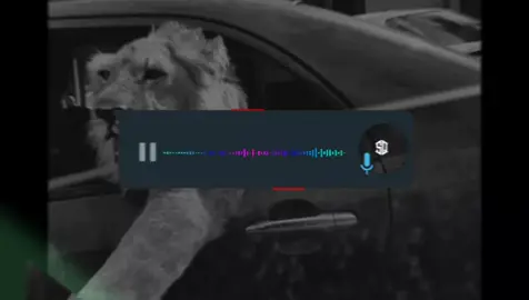 18/15 song name slowed song #for #virl #fullsong #you 