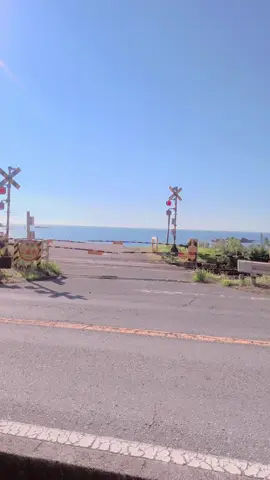 少女レイ聖地巡礼してきたー！ #少女レイ #聖地巡礼 #アニメ  #折居駅 #電車 #景色 