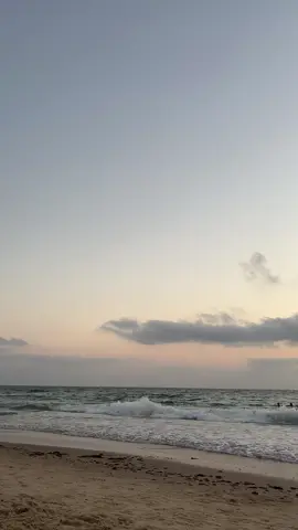 #شفيق_كبها_الصوت_الفلسطيني_الأصيل_🇵🇸 #رهط_تل_اسبع_اشقيب_عرعره_حوره_هداج__ 