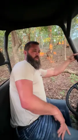 Cows are all in this video. Stick with it. #rufusthebull 
