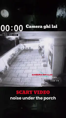 noise downstairs #ghost #animal #horror #scary #cctv real ghost