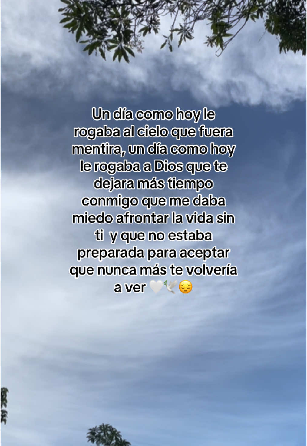 #25/7/24#🕊️#un año de tu partida 🥺😔no sabes lo difícil que ha sido, a pesar de que no estás físicamente, te has presentado en mis sueños’🥹🤍no sabes la falta que me hace tu amor 😔🥺tus abrazos tus risas el tiempo que pasábamos juntas, 👭te extraño muchísimos mamá 🥹😭#te#amare#eternamente#mami#de #mi#alma❤️‍🩹🕊️