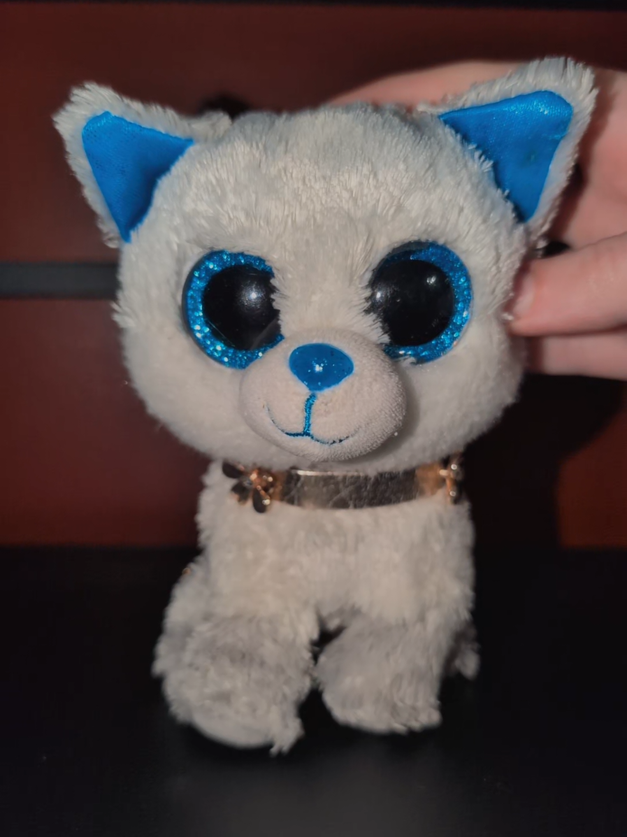 #beanieboos #frostthebeanieboo #bigdaddycrustytoes #favorite #beanieboo 