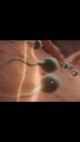 Domination  #pregnant #womenhealth #fetus #anatomy #pregnency #twinsbaby #insidebody #anatomy #creatorsearchinsights 