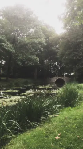 #beatifulplace #forrest #water #bridge #vibe #re #fyp 