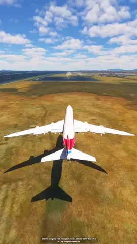 Plane Emergency Landing 3030 #avaition #airplaneaccident #msfs2024 #plane #aviation4u #unfreezemyaccount #planecrash #rebelgaming #foryoupagee #foryoupage❤️ #crashlandingonyou #foryoupage #foryou #crashlanding 