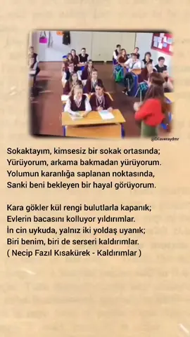 #necipfazılkısakürek #kaldırımlar #kaldırımlarşiiri #yazar #hayatbazentatlidir #fypp #keşfet #şiir #şiirsokakta #şair 