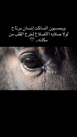 #خيل_وخياله🐎 #saadlamjarred #fyp #viral #اقتباسات 