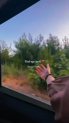 Qabso dawga raganimo. #somalitiktok #fyp #weedhsame 