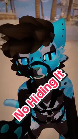there’s no hiding it #vrchat #vrchatmemes #furry #furryfandom #funny #vrchatfunny #vrchatcommunity #mayu #kitty #vrchatavatar #tiktok #vrchatcomedy #vrchatcontent #vrchatclips #mayuavatar #xtdo