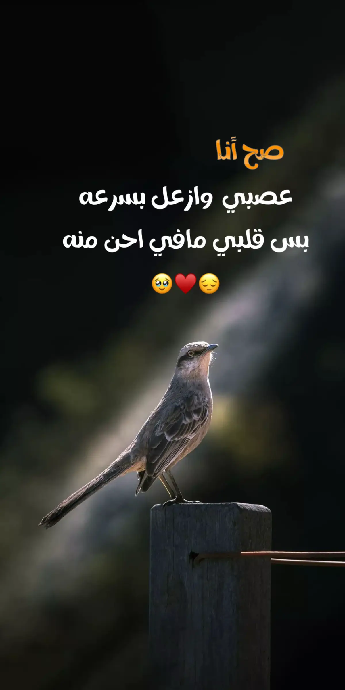 #خواطر #تصميمي #الشعب_الصيني_ماله_حل😂😂 