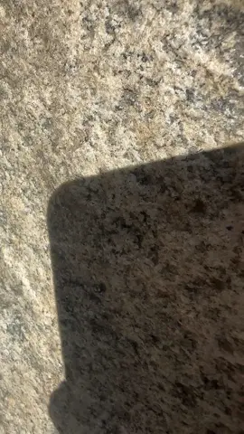 Can you say you’ve lived without seeing this ??? #yosemite 