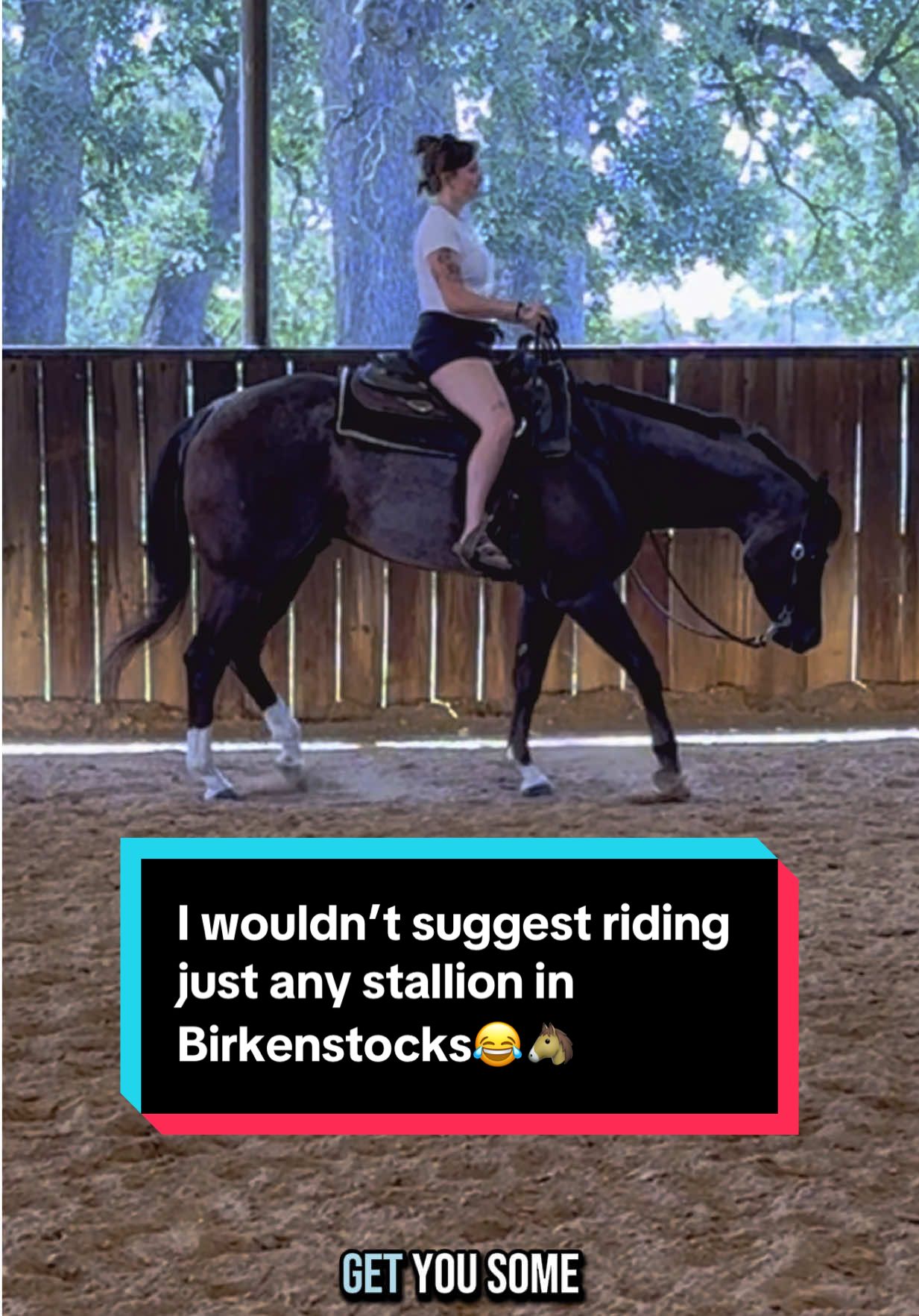 I wouldn’t suggest riding just any stallion in Birkenstocks😂🐴 #firstthingzfirst #stallionsoftiktok #aqhastallion 