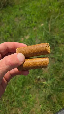 #johnwayne #ranching #cowsoftiktok #cattle #humor 