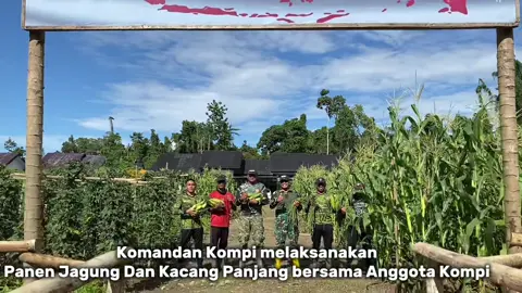 MAJU TERUS PHYTON#fyp #manokwari_papuabarat #fyypppppppppppppppppp 