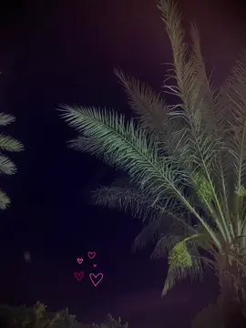 خذي اليك ولعينيك🥹💙.
