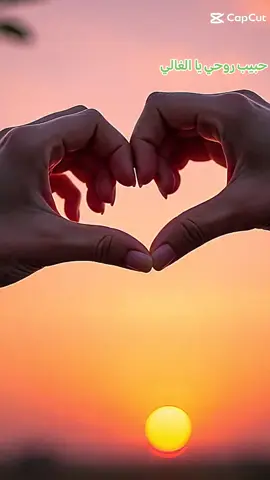 قلبي معاك مكتول💔 مصيري معاك مجهول🤦‍♂️ دي مشكلة انا بحلها كيف يا زول🤗 🥀🫶#creatorsearchinsights  #2025trends #viralvideos #سودانيز_تيك_توك_مشاهير_السودان🇸🇩 #مليونية #الشعب_الصيني_ماله_حل😂😂 
