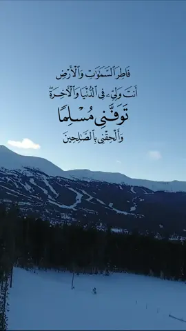 ﴿ فاطر السموات والأرض أنت وليي في الدنيا والآخرة توفني مسلما وألحقني بالصالحين ﴾ [ يوسف: 101] يا خالق السموات والأرض ومبدعهما، أنت متولي جميع شأني في الدنيا والآخرة، توفني إليك مسلمًا، وألحقني بعبادك الصالحين من الأنبياء الأبرار والأصفياء الأخيار. سورة يوسف الآية 101 #محمد_صديق_المنشاوي #سورة_يوسف #المنشاوي #quran 