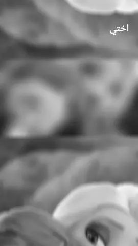 - أُختي أولًا وثانيًا وثالثًا وعاشرًا وأخيرًا ! - 