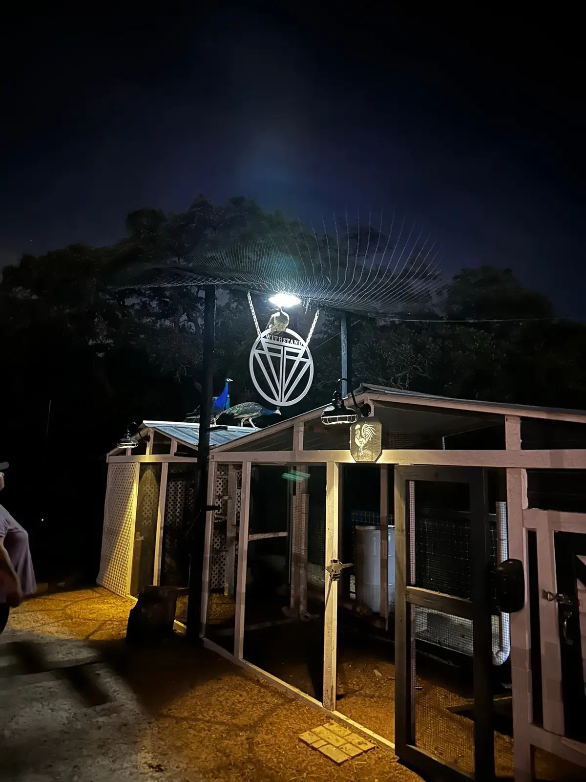My favorite spot to sit and relax after the day is almost over.   Time to unwind and reflect.   My peaceful sanctuary.  Nothing like swinging watching the sunset and then looking at the stars surrounded by my animals. #nighttime #reflect 