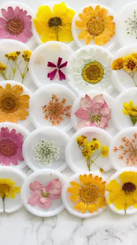 Pressed flower wax seals were some of the very first I ever made—and honestly? They’re still my favorite. 🌸✨ They’re simple once you get the hang of it, but a few tips can make all the difference (and save you some frustration!). Here are 3 things I always recommend for beginners:  1️⃣ Choose flat, single-layer flowers so they press cleanly into the wax.  2️⃣ Chill your stamp on an ice pack between seals—cold stamps don’t stick!  3️⃣ Keep your wax cool and billowy. Too hot, and the petals disappear under it! Want to see exactly how I make them from start to finish? I put together a FREE video guide just for you. Get the guide here: https://bgoodslettering.com/#DIYPressedFlowerWaxSeals #bgoodslettering #waxsealclub #waxsealmaking #waxseals