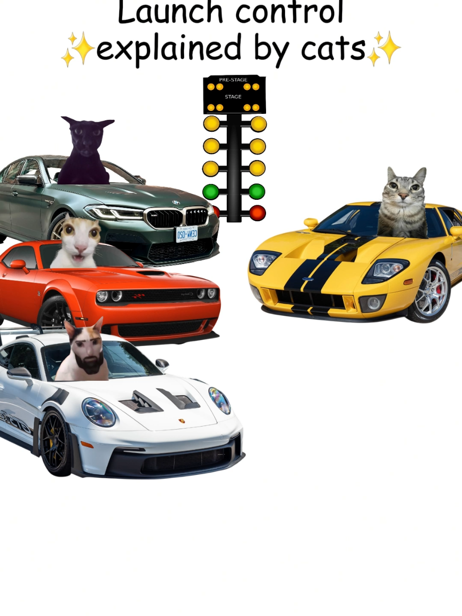 Launch control explained by cats  #cats #mechanic #cars #carguys 