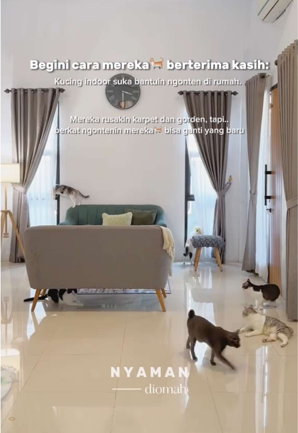 Hidup bersama pasangan yang rescue belasan kucing di daerah rumah? Kenapa engga 😄🐈 🗓️ 2018 - setelah nikah adopt kucing ras bernama Felix dari adik ku. Abis itu sempet ada 1 kucing jalanan rescue bernama Belly, tapi begitu pindah rumah dia malah hilang nggak pulang lagi. Sedangkan Felix masih kita rawat sampe sekarang. 🗓️ Juni 2022 - 🐈 Buybuy si mamak 7 kucing pertama kali lahiran, setelah itu berlanjut sampai kali ke-3, akhirnya disteril. 7 anak kucing tsb direscue semua di rumah ini. 🗓️ September 2022 - 🐈 Cloudy (si belang 3 tortie sebatang kara, ketika datang kitten banyak luka bolong kecil bernanah di leher)  🗓️ February 2024 - 🐈‍⬛🐈🐈 Hazy, Starry, Spring (3 abu2 bersaudara ekor bakso, ketika datang kitten kelaparan & cacingan) 🗓️ December 2024 - 🐈 RenRen (kucing oren, ketika datang dewasa kurus perut cekung dan bolong besar/abses) Rawat kitten terbuang atau kucing yang sakit memang nggak semudah itu. Tapi sekarang Alhamdulillah udah berhasil lewati semua prosesnya. Semoga pada makin gembul dan sehat selalu 🐈 Nyaw!  Alhamdulillah juga nggak sengaja awalnya aku kontenin cerita perjalanan rescue Cloudy dari kitten ternyata FYP, akhirnya lanjut ngontenin kucing dan home living. Kalau nggak ada kucing, mungkin hidup ku nggak akan berubah juga kaya gini. MasyaAllah. Total di rumah ini ada 14 kucing🤭 🐈 Adopt 1 kucing ras dari adek Sisanya kucing kampung:  🐈 5 kucing rescue 🐈 Buybuy mamak kucing, lahiran 7 anak di sini  + 2 kucing ras di teras Follow @nyamandiomah for more! Follow @nyamandiomah #nyamandiomah #catrescue #rescuecats #catsoftiktok #kucingkampung #anabul #cathome #homeinspo #hometips #inspirasirumah #makeoverrumah 