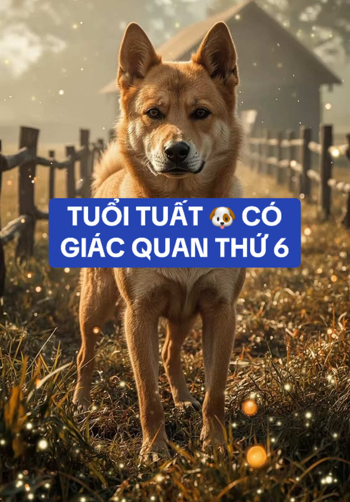 Tuổi Tuất đọc vị người khác rất giỏi ! #tuoituat #tuvituoituat #tuvi12congiap #12congiap #tailocmayman #phongthuytamlinh #phatphapnhiemmau 