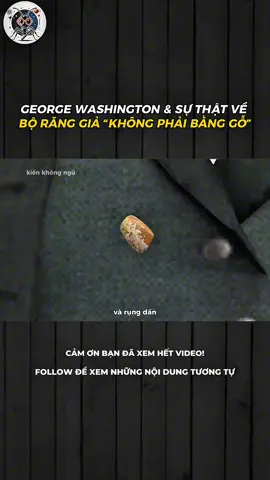 GEORGE WASHINGTON & SỰ THẬT VỀ BỘ RĂNG GIẢ “KHÔNG PHẢI BẰNG GỖ” #LearnOnTikTok #xh #khampha #khoahoc 
