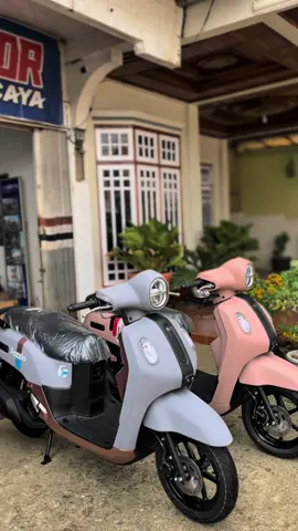 Fazzio Merah jambuu😍🥰😋 #yamah #fazzio #promosi #ddsjambi #fyp #bcaxyz 