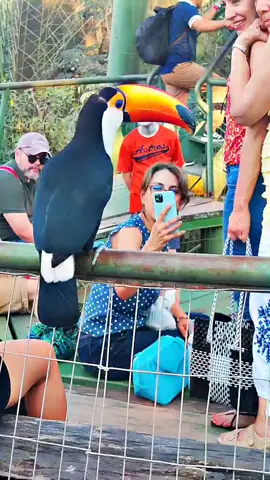 TukyTuky 😍  #Parati #Naturaleza 