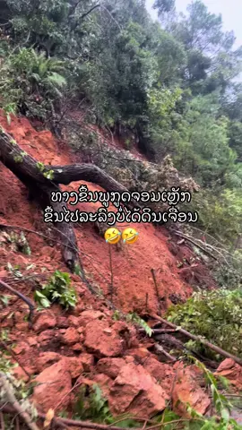 #อย่าปิดการมองเห็น #ฟีดดดシ #fyp #xiengkhouang 