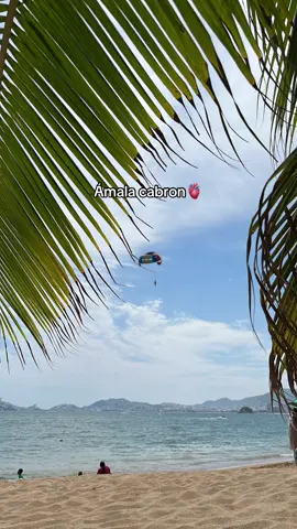 #amala #cabron #pepe #aguilar #paratiiiiiiiiiiiiiiiiiiiiiiiiiiiiiii #tiktok #acapulco 