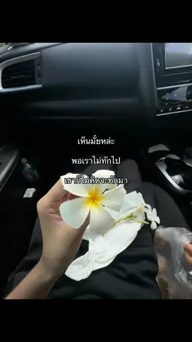 #เธรด #fyp #ยืมลงสตอรี่ได้ #ไม่ฟีดงอลครับ💥💢 #ใจหน่อย 