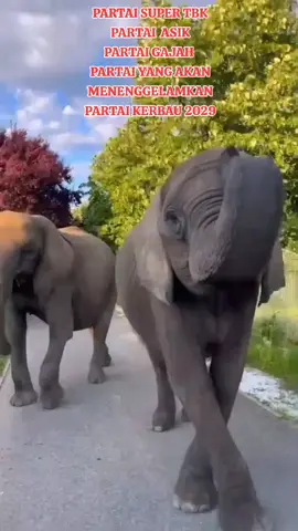 PSI partai gajah yg sangat mungkin di tahun 2029 jadi partai besar.. yg akan bisa bersaing dg partai2 yg saat ini ada di DPR  PaRTAI ASIK yg di isi oleh org2 intelektual, tua ,muda, partai nasionalis.