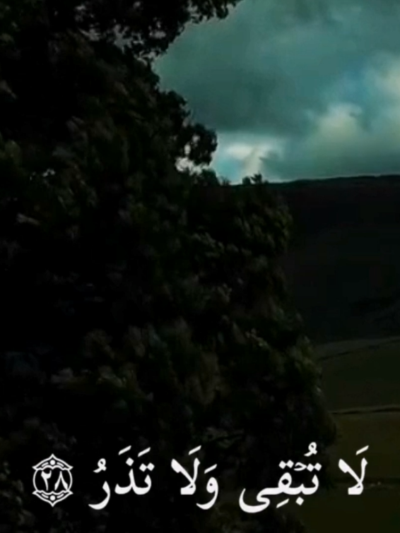 ﷽﴿واذكر ربك إذا نسيت﴾ 🤍  سبحان الله   الحمدلله   لا إله إلا الله   الله أكبر  سبحان الله وبحمده   سبحان الله العظيم #سورة_المدثر #عبدالله_الخلف #ذرني_ومن_خلقت_وحيدا #واذكر_ربك_إذا_نسيت #اسلاميات #القرآن_الكريم #قرآن_بصوت_جميل #سبحوا  #اجر_لي_ولكم  #ايات_قرآنية #آيات_بينات #تدبروا_الايات🤍 #استغفروا #صلوا_على_النبي♥ #لا_إله_الا_انت_سبحانك_اني_من_الظالمين♡ #آلاءشريف #قرآن  #سبحان_الله_وبحمده_سبحان_الله_العظيم#🖤آلاء⛓️  #Quran #Quran #quran_alkarim #ayat_bainat #quran 