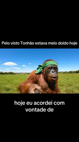 🚨🦧 Mano, o Tonhão tá cada vez mais fora da casinha! O bicho meteu o louco hoje: pulou do telhado, tropeçou numa pedra e ainda mandou um “tá suave” comendo pizza no chão kkkkk É o Tonhão, desgraça! #tonhão #tiktokbrasil #fyp #ia #veo3 