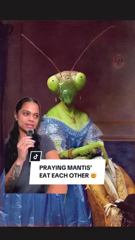Men should feel lucky that we don’t do this too 😅 #prayingmantis #AnimalFacts #EduTok #fyp 