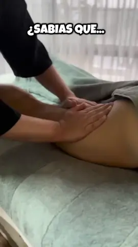 Isquiotibiales: Tu Motor Trasero 💪 Los isquiotibiales (bíceps femoral, semitendinoso, semimembranoso) son los 3 músculos clave detrás de tu muslo. ¡Esenciales para correr 🏃‍♀️, saltar 🤸 y mover tu cadera! Mantenerlos fuertes y flexibles es crucial. ✨  #saludybienestar #masajesterapéuticos #musculosSanos #isquiotibialesfuertes #bienestar #enelunivesoentero❣️ 