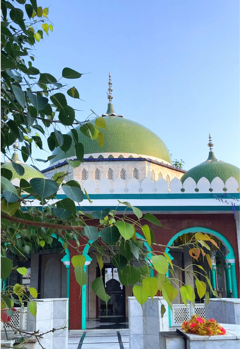 دربار حضرت سخی سیدن شاہ شیرازی  چوآ سیدان شاہ ❤️👑 chakwal ❤️👑#chakwalian #foryour #tiktokviral #choasaidanshah 
