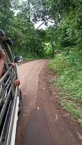 #ပြင်ဦးလွင်မြို့ #နတ်ကျုံးတောရ #နတ်ကျုံး