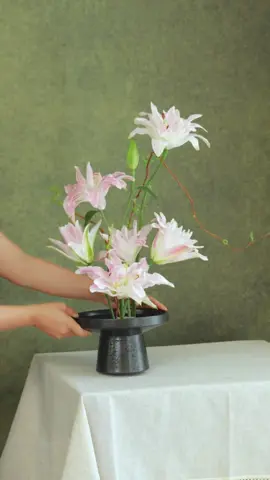 Ly kép ❤️ #camhoa #flower #camhoanghethuat #thichnhacohoa #trending #xuhuong 