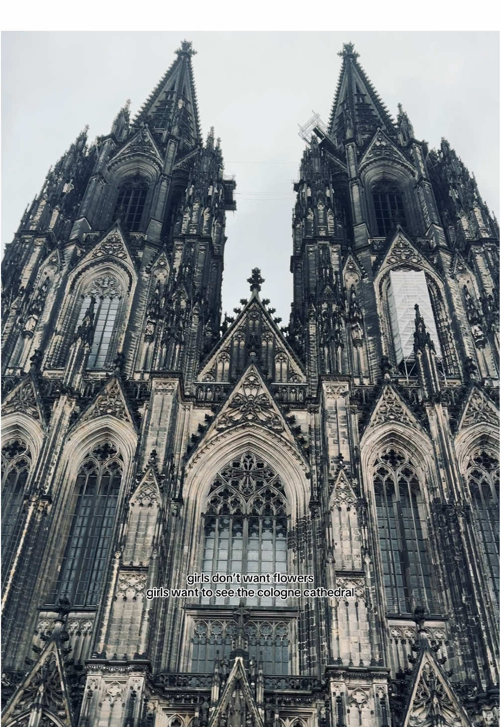girls just wanna see the cologne cathedral 😌🖤🥀 • Cologne Cathedral - Cologne, Germany 🇩🇪 the gothic architecture 1000% lives up to the hype that’s put on it. it was truly breathtaking (and the cathedral itself was HUGE!!!!) i was able to visit the cologne cathedral when we went to the cologne christmas market. the main market was literally on the side of the cathedral! so beautiful and such a fun experience 🖤 #colognecathedral #köln #colognegermany #kölnerdom #europetravel #gothicarchitecture #europeanarchitecture  #creatorsearchinsights 