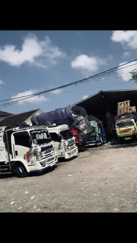 #drifermuda #trending #mancalgiga 