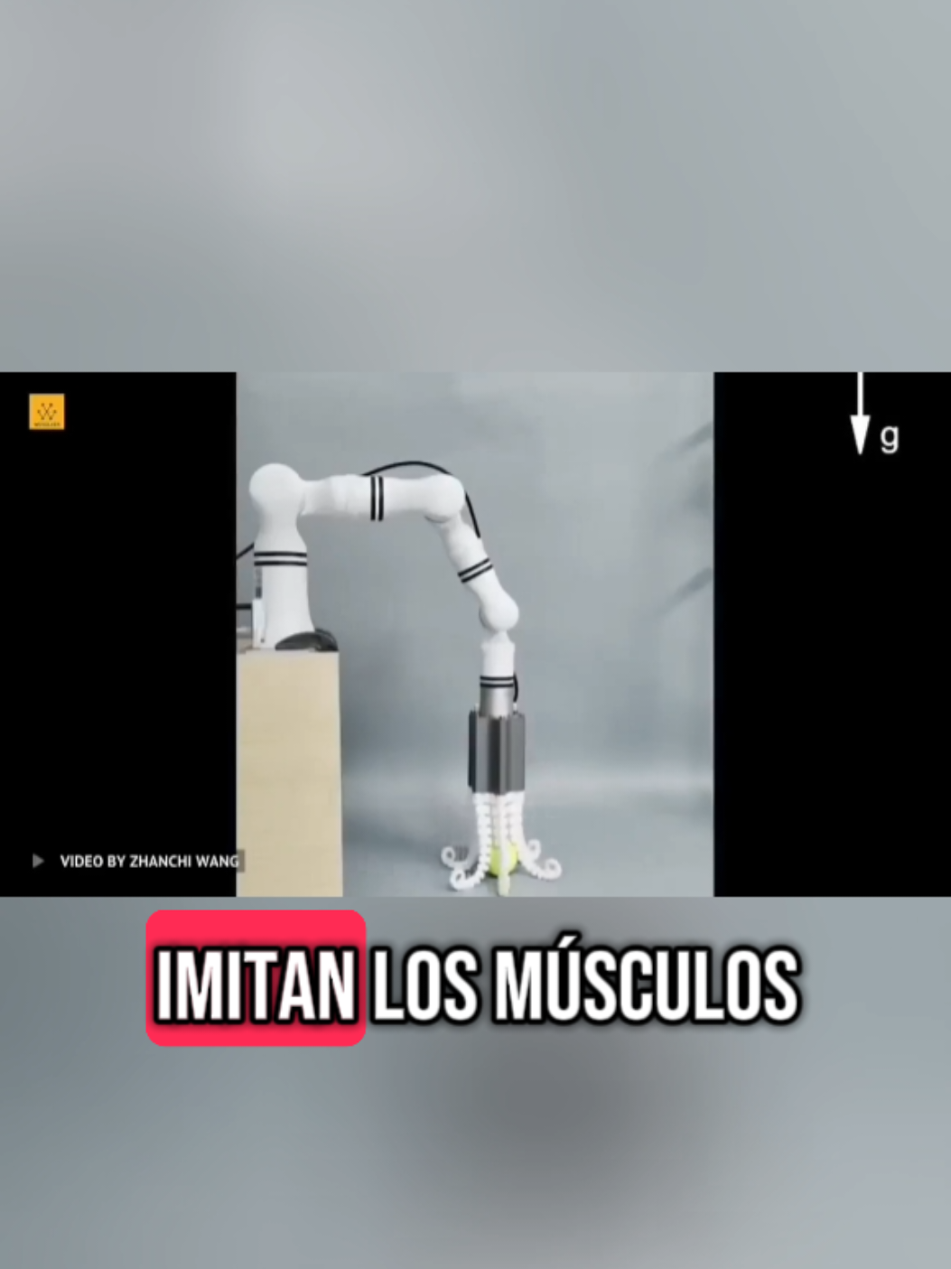 Tantáculo PRODIGIOSO :) #diseño #Futuro #ciencia #fisica #impresion3d #viral #startup #short #ia 