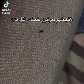 #حتى الذبابه ما عرفت 😂😂😂😂😂😂حلوه❤️