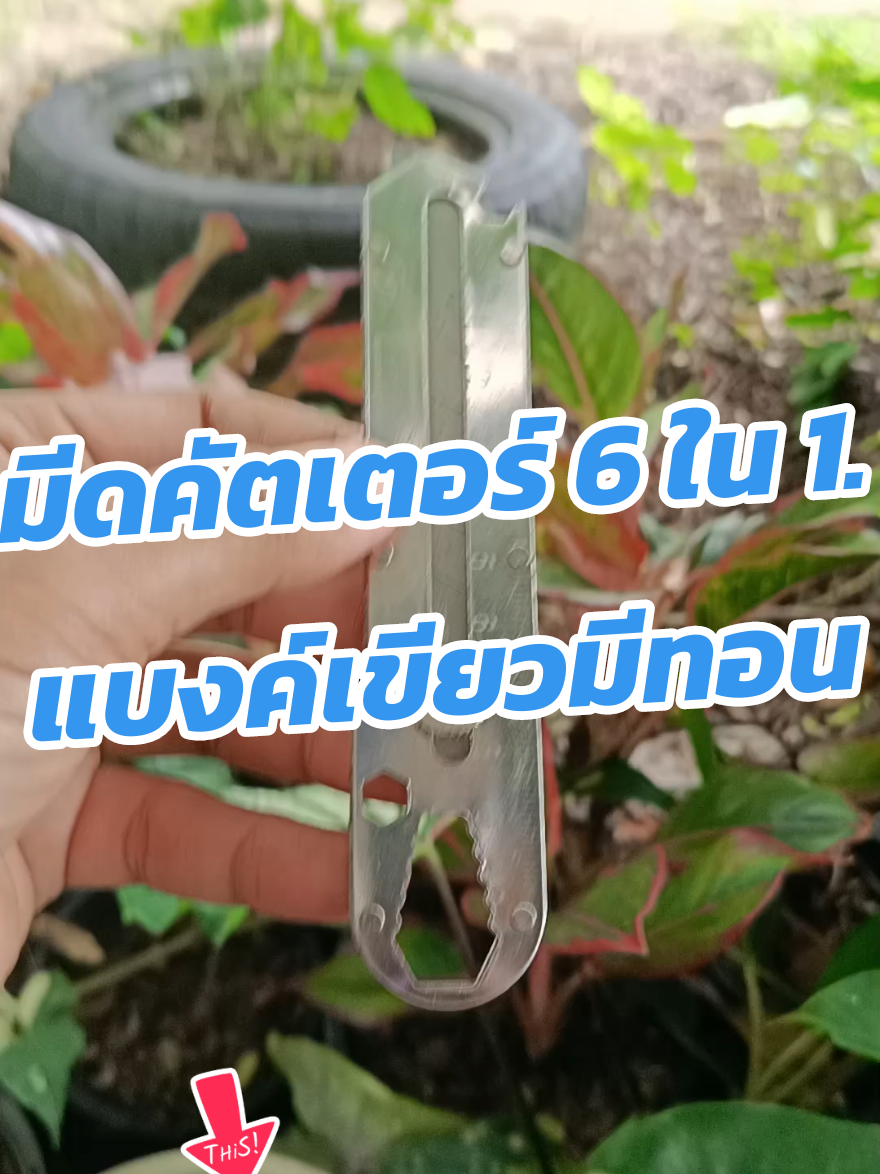 #creatorsearchinsights #คัตเตอร์สแตนเลส #คัตเตอร์อเนกประสงค์ #คัตเตอร์ #มีด 