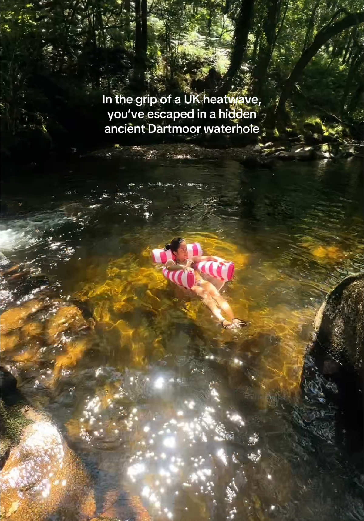 British summer in this ancient woodland #dartmoor #devon #uktravel 